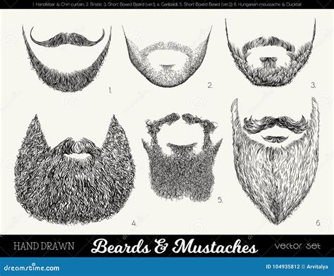 Vector Set With Beards And Mustaches Stock Vector Illustration Of