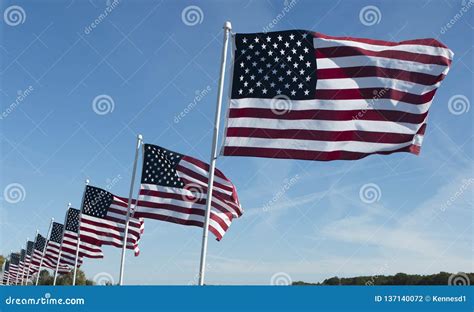 Row Of American Flags Flapping In The Wind Stock Photo Image Of