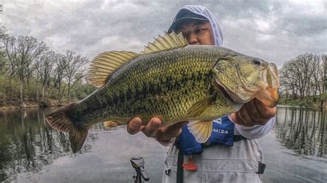 Minnesota Bass Fishing Opener On A Secluded Fishery Bass Manager