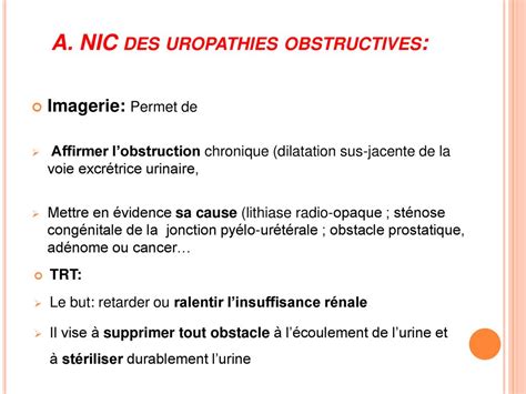 N Phropathies Interstitielles Chroniques Ppt T L Charger