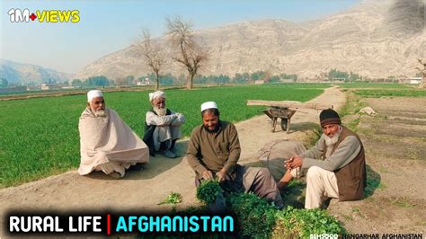 Rural Life Afghanistan 2021 4k Youtube