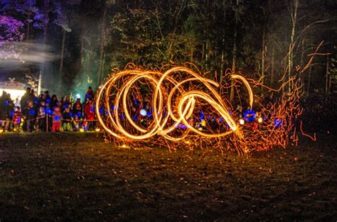 Lichterfest im Wildpark Müden Hamburg Guide