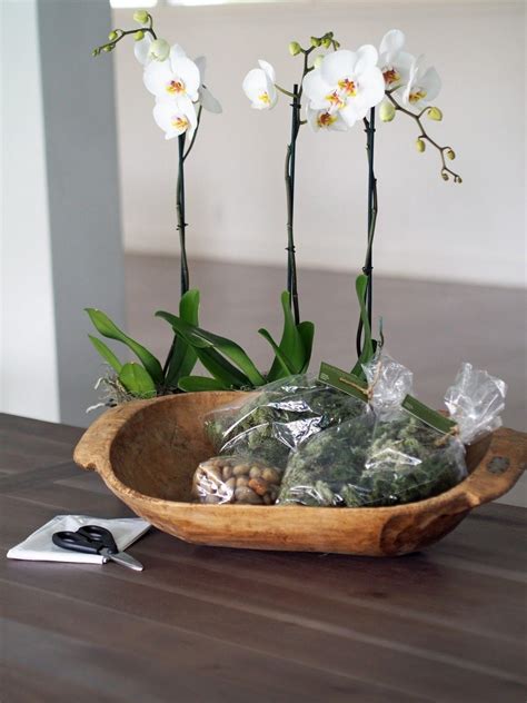 55 Best Orchid Arrangements With Succulents And Driftwood Decomagz