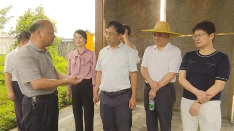 省委宣传部精神文明创建处到蕉岭县调研指导文明城市创建工作 梅州文明网