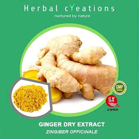 Ginger Dry Extract Zingiber Officinale Packaging Type HDPE Drum At Rs