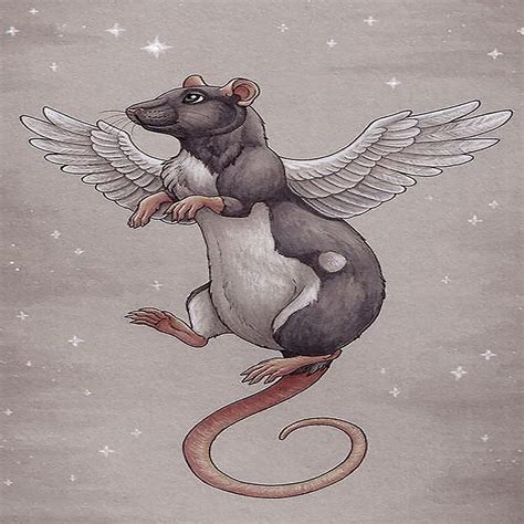 Flying Mouse Digital Art by Eddy Han - Fine Art America