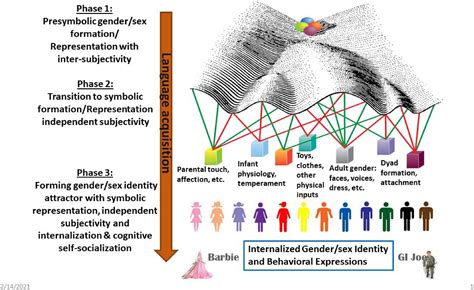 Frontiers A Dynamic Systems Framework For Gendersex Development