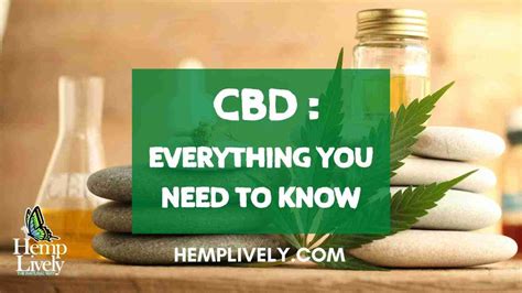 Everything You Need To Know About Cbd Hemp Lively 曆