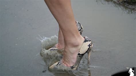 Maria S Brand New Nude Black Snakeskin High Heels Walk X Damagedheels Hhds