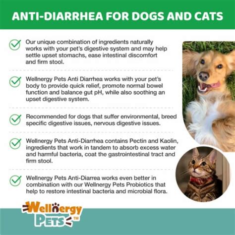 Anti Diarrhea For Dogs And Cats4 Oz Syringe Included 4 Oz Frys