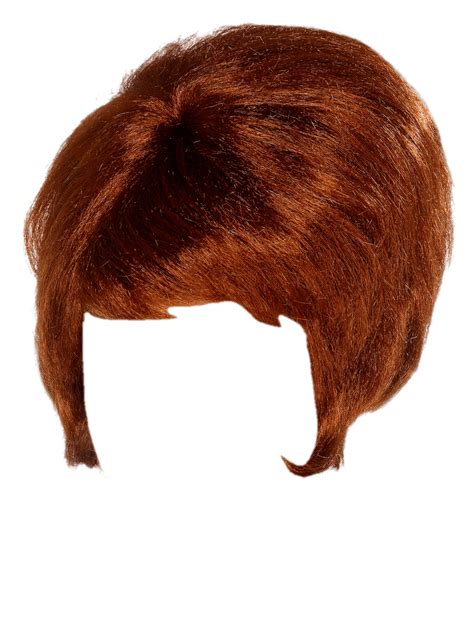 Hair Wig Png