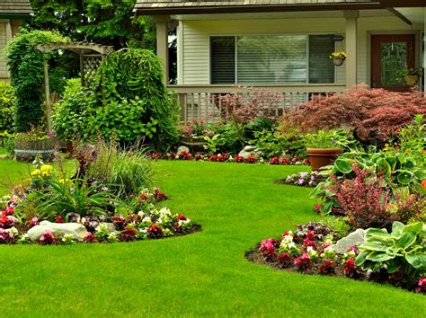 The 12 Best Places to Buy Outdoor Plants Online - Bob Vila