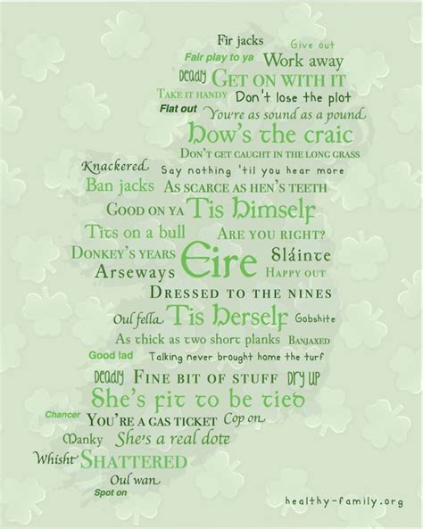 Irish Quotes About Life 12 Quotesbae