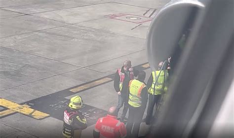 В Ирландии самолёт аварийно сел в аэропорту после попадания птиц в ...