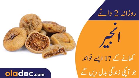 Figs In Urdu