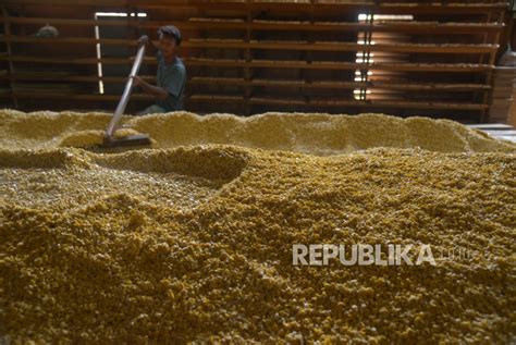 Harga Kedelai Impor Terus Naik Perajin Tahu Dan Tempe Menjerit