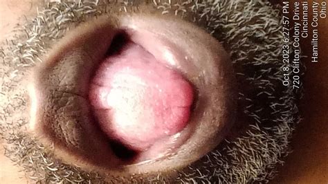 I Love Licking Pussy 11 Pics XHamster