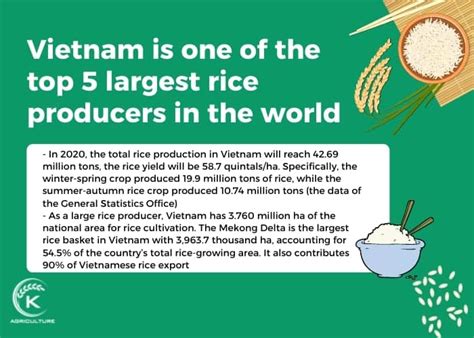 Reasons For Vietnamese Rice Export S Impressive Success