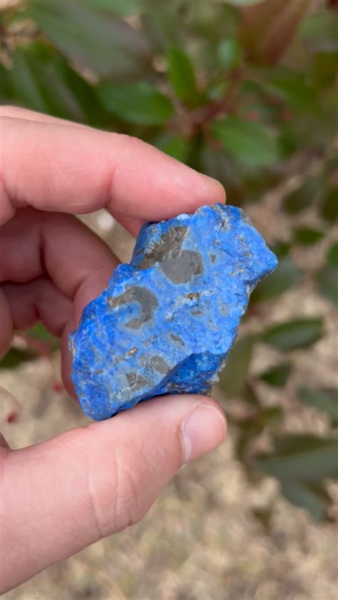 Lapis Lazuli Rough Rocks For Tumbling Bulk Wholesale Lb Options Ebay