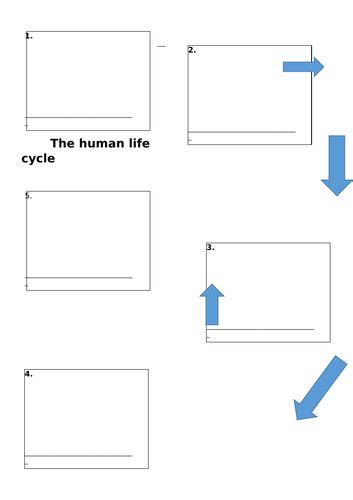 Human Life Cycle Ks1 Science Teaching Resources