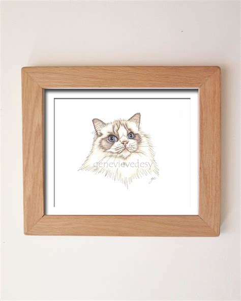 Ragdoll Cat Drawing at PaintingValley.com | Explore collection of ...