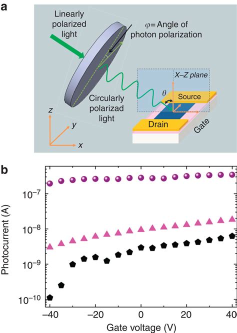 Experimental Configuration And Photocurrent A Description Of