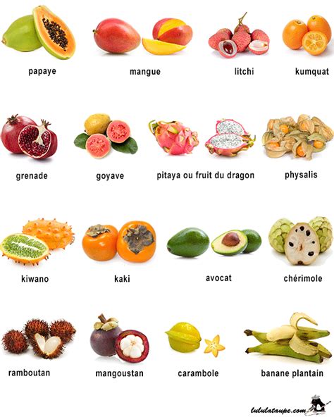 Que Contient Les Fruits