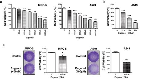 Tumor suppressive roles of eugenol in human lung cancer cells - Fangjun ... 