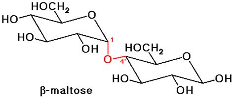 Beta Maltose