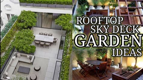 Amazing rooftop Garden design Ideas - GardenInBloom.com