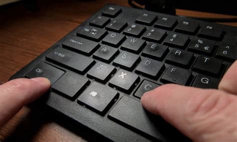 copy   word document
