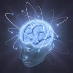 adam marblestone  rosetta brains  markers  synapse function