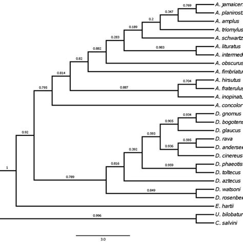 Bayesian Majority Consensus Tree Based On The Partitioned