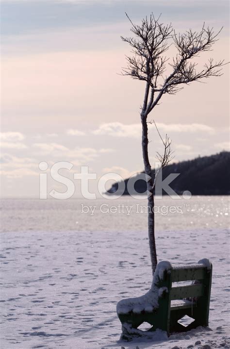 Waiting For Summer Stock Photo | Royalty-Free | FreeImages