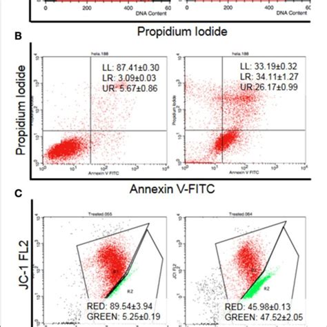 illustrates the proteome profiler analysis for cell-stress related ...