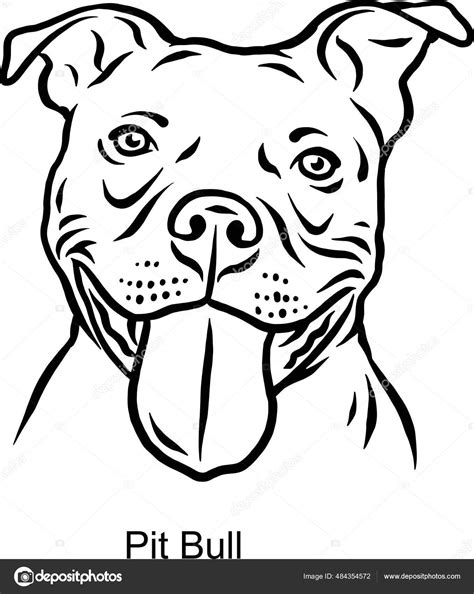 Pit Bull Portrait Dog In Line Style Pet Portrait In Light Style Head