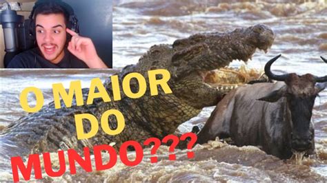 React Esse Maior Crocodilo Do Mundo Youtube