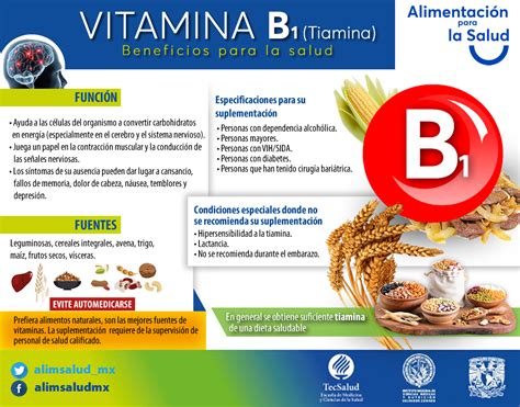 Vitamina B1 Alimentación Y Salud