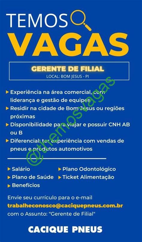 Gerente De Filial Bom Jesus PI 01 Vaga S Themos Vagas