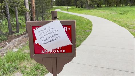 Park Ranger Injured In Yellowstone National Park Shooting