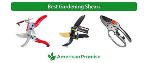 8 Best Gardening Shears For Garden Greatness in 2021 - American Promise