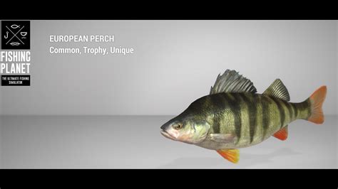 Fishing Planet Sander Baggersee Lake Trophy European Perch Spin