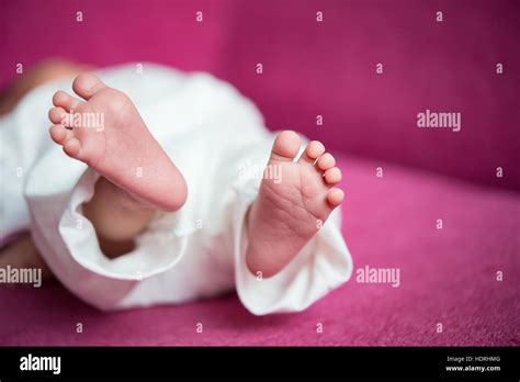 newborn baby feet Stock Photo - Alamy