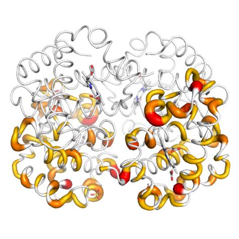 HBB Gene - Somatic Mutations in Cancer