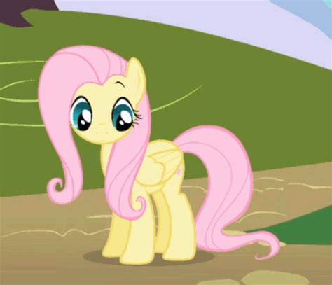 fluttershy gif  gifer  feloril