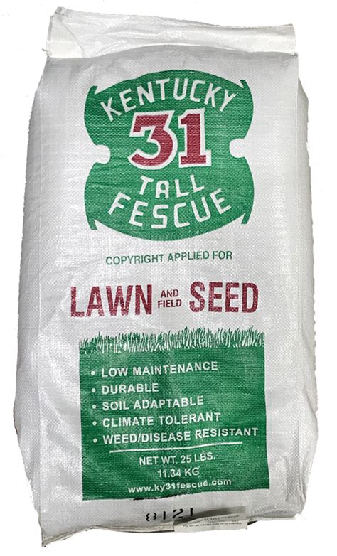 Tri Star Seed 25lb Kentucky 31 Tall Fescue Grass Seed 25 Pound At Sutherlands