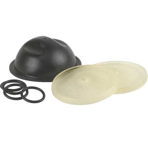 Desmopan Diaphragm Replacement Kit 9910 KIT1725 Hypro Kleen Rite