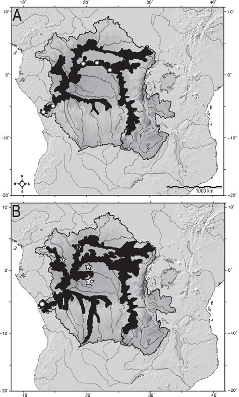 Figure 2 From A New Ectoparasitic Distichodontid Of The Genus