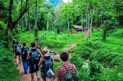 Eco Travel Discover The Top Green Tourist Spots In Vietnam