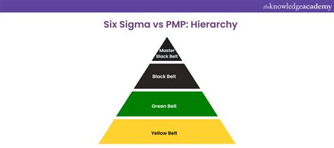 Six Sigma Vs Pmp Which Certification Is Right For You